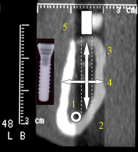 Toledo Periodontics